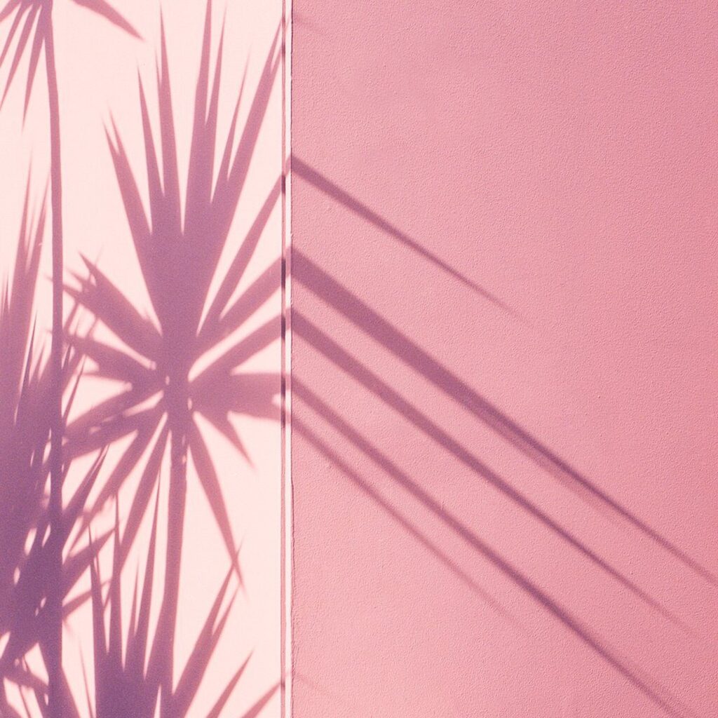 Palm shadows falling across a pink wall